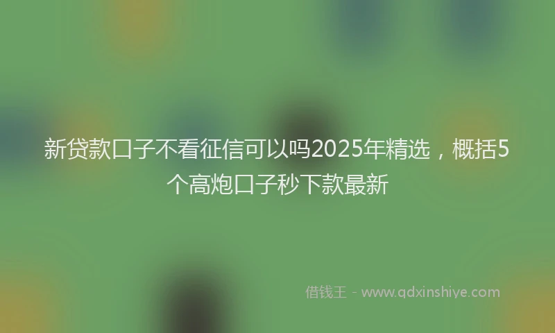 新贷款口子不看征信可以吗2025年精选，概括5个高炮口子秒下款最新