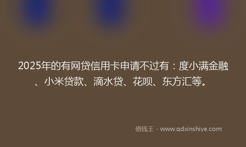 2025年的有网贷信用卡申请不过有：度小满金融、小米贷款、滴水贷、花呗、东方汇等。