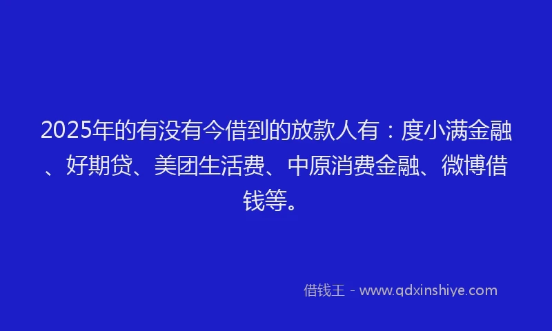 2025年的有没有今借到的放款人有：度小满金融、好期贷、美团生活费、中原消费金融、微博借钱等。