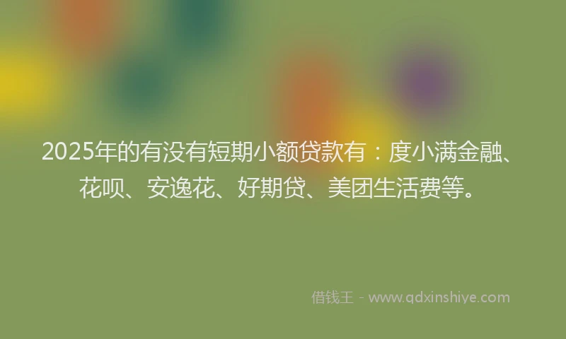 2025年的有没有短期小额贷款有：度小满金融、花呗、安逸花、好期贷、美团生活费等。