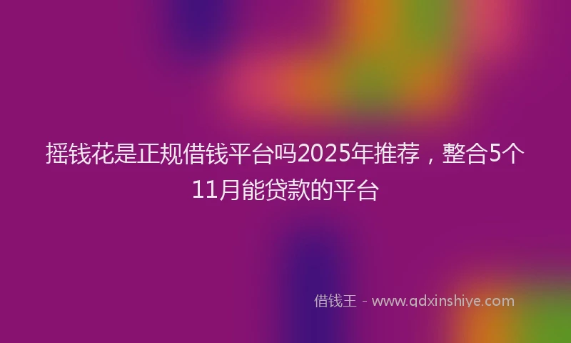 摇钱花是正规借钱平台吗2025年推荐，整合5个11月能贷款的平台