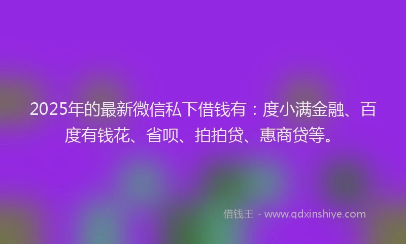 2025年的最新微信私下借钱有：度小满金融、百度有钱花、省呗、拍拍贷、惠商贷等。