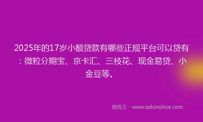 2025年的17岁小额贷款有哪些正规平台可以贷有：微粒分期宝、京卡汇、三枝花、现金易贷、小金豆等。