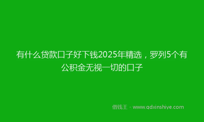 有什么贷款口子好下钱2025年精选，罗列5个有公积金无视一切的口子