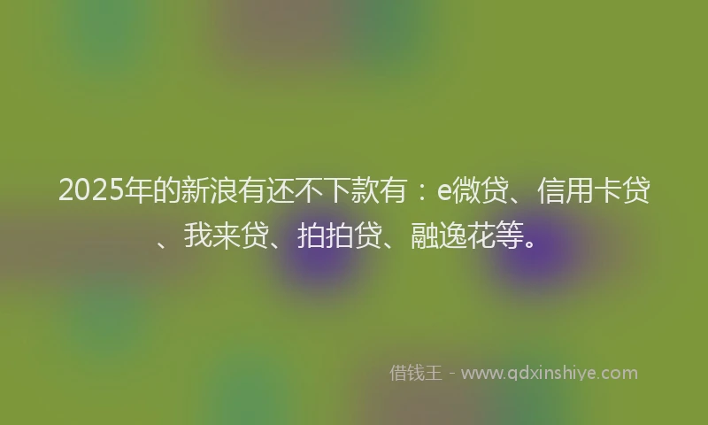 2025年的新浪有还不下款有：e微贷、信用卡贷、我来贷、拍拍贷、融逸花等。