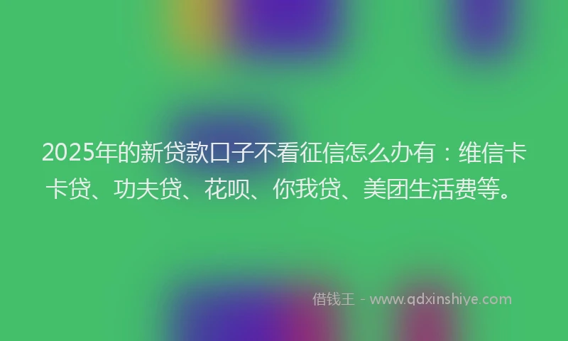 2025年的新贷款口子不看征信怎么办有：维信卡卡贷、功夫贷、花呗、你我贷、美团生活费等。