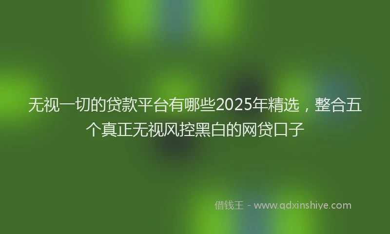 无视一切的贷款平台有哪些2025年精选，整合五个真正无视风控黑白的网贷口子