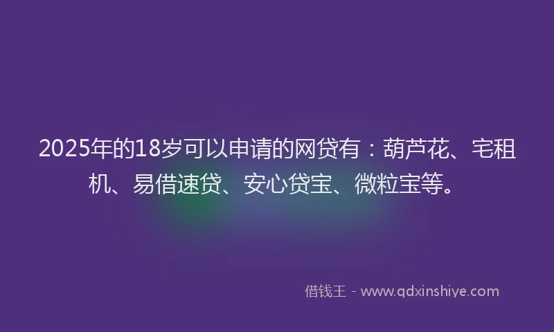 2025年的18岁可以申请的网贷有：葫芦花、宅租机、易借速贷、安心贷宝、微粒宝等。