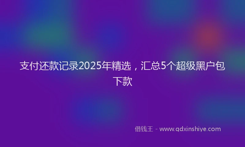 支付还款记录2025年精选，汇总5个超级黑户包下款