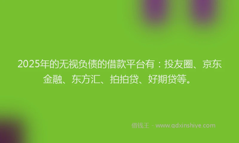 2025年的无视负债的借款平台有：投友圈、京东金融、东方汇、拍拍贷、好期贷等。