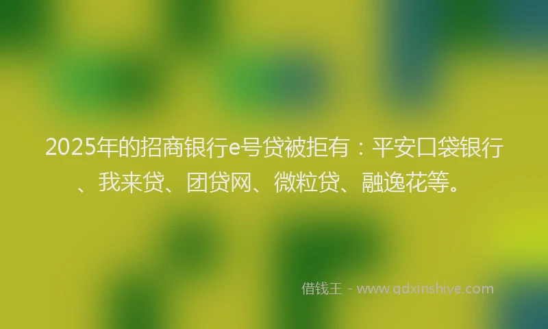 2025年的招商银行e号贷被拒有：平安口袋银行、我来贷、团贷网、微粒贷、融逸花等。