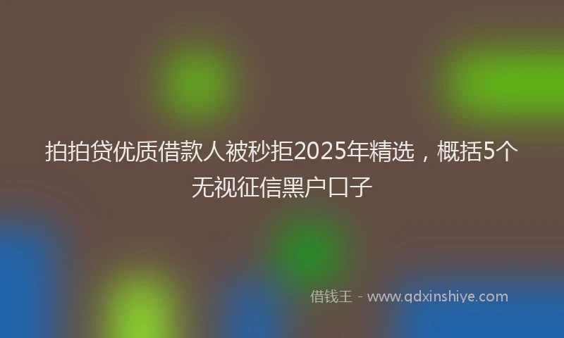 拍拍贷优质借款人被秒拒2025年精选，概括5个无视征信黑户口子
