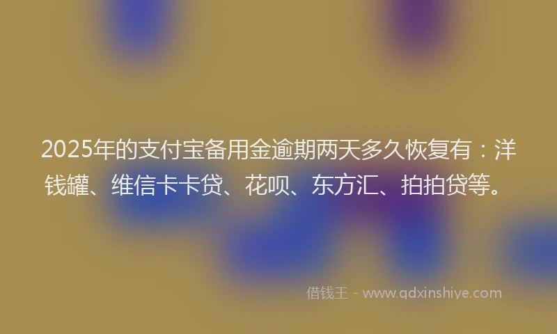 2025年的支付宝备用金逾期两天多久恢复有：洋钱罐、维信卡卡贷、花呗、东方汇、拍拍贷等。