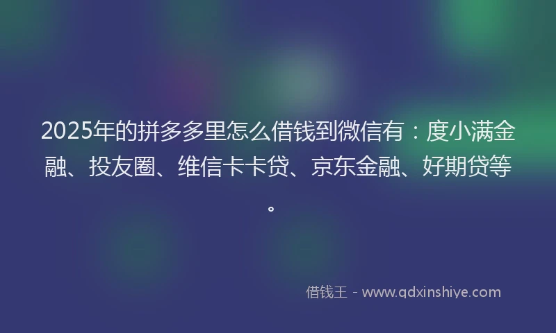 2025年的拼多多里怎么借钱到微信有：度小满金融、投友圈、维信卡卡贷、京东金融、好期贷等。