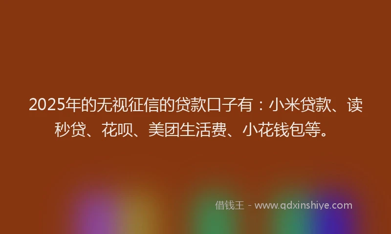 2025年的无视征信的贷款口子有：小米贷款、读秒贷、花呗、美团生活费、小花钱包等。