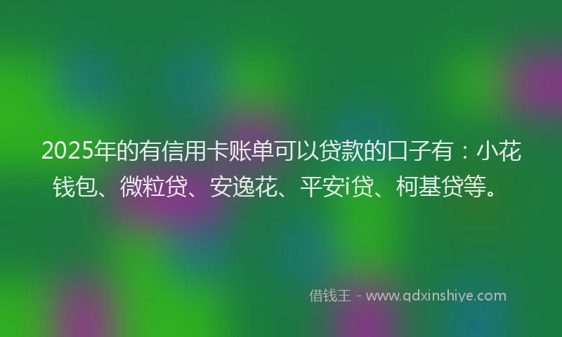 2025年的有信用卡账单可以贷款的口子有：小花钱包、微粒贷、安逸花、平安i贷、柯基贷等。