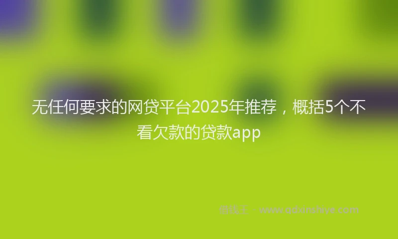 无任何要求的网贷平台2025年推荐，概括5个不看欠款的贷款app