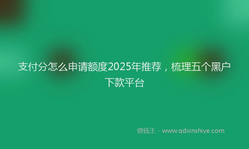 支付分怎么申请额度2025年推荐，梳理五个黑户下款平台