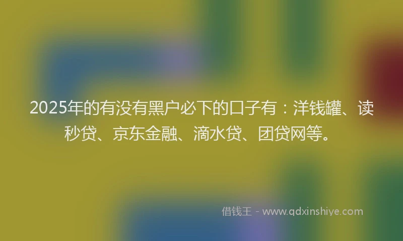2025年的有没有黑户必下的口子有：洋钱罐、读秒贷、京东金融、滴水贷、团贷网等。
