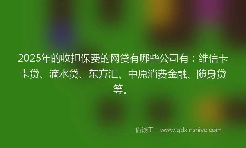 2025年的收担保费的网贷有哪些公司有：维信卡卡贷、滴水贷、东方汇、中原消费金融、随身贷等。