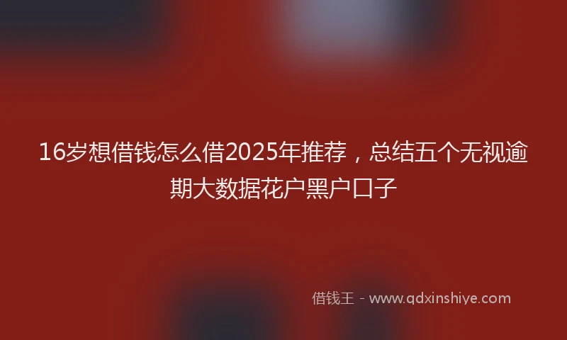 16岁想借钱怎么借2025年推荐,总结五个无视逾期大数据花户黑户口子