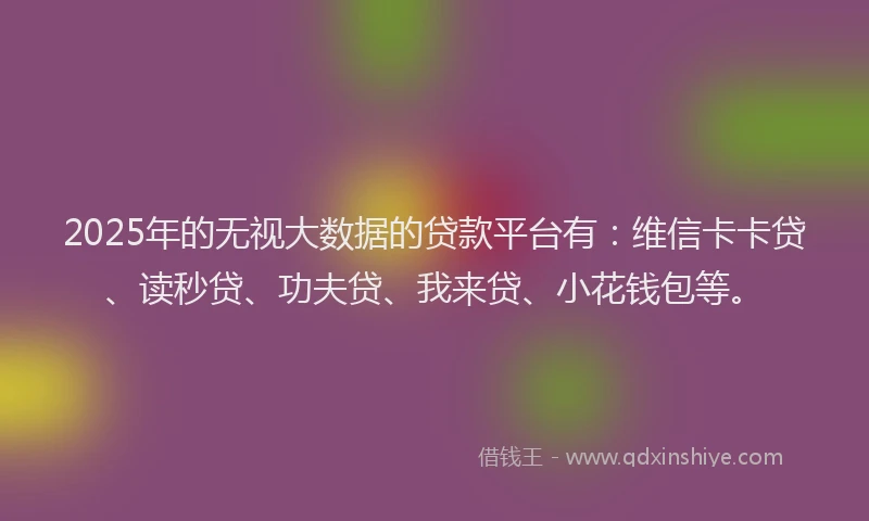 2025年的无视大数据的贷款平台有：维信卡卡贷、读秒贷、功夫贷、我来贷、小花钱包等。
