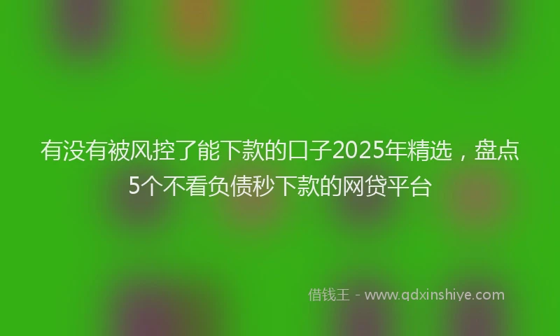 有没有被风控了能下款的口子2025年精选，盘点5个不看负债秒下款的网贷平台