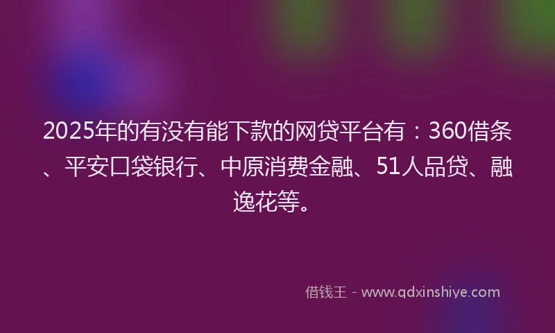 2025年的有没有能下款的网贷平台有：360借条、平安口袋银行、中原消费金融、51人品贷、融逸花等。