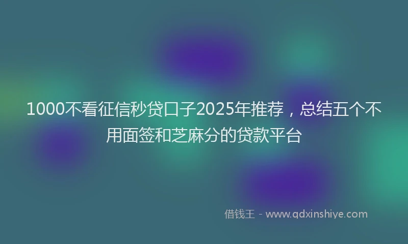 1000不看征信秒贷口子2025年推荐，总结五个不用面签和芝麻分的贷款平台