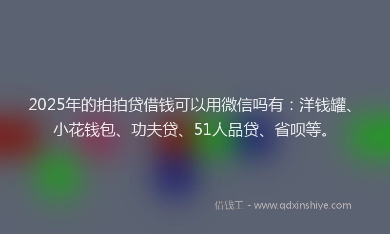 2025年的拍拍贷借钱可以用微信吗有：洋钱罐、小花钱包、功夫贷、51人品贷、省呗等。