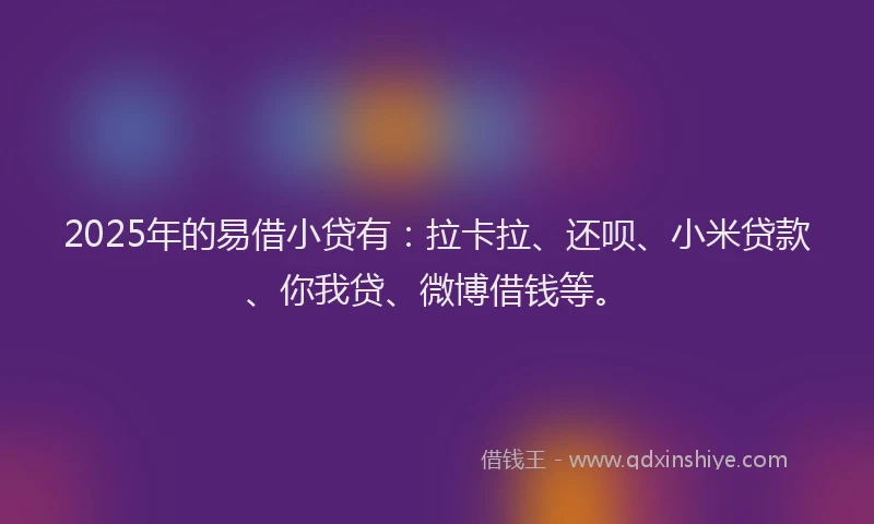 2025年的易借小贷有：拉卡拉、还呗、小米贷款、你我贷、微博借钱等。