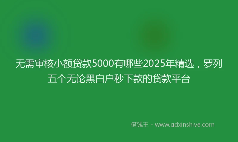 无需审核小额贷款5000有哪些2025年精选，罗列五个无论黑白户秒下款的贷款平台