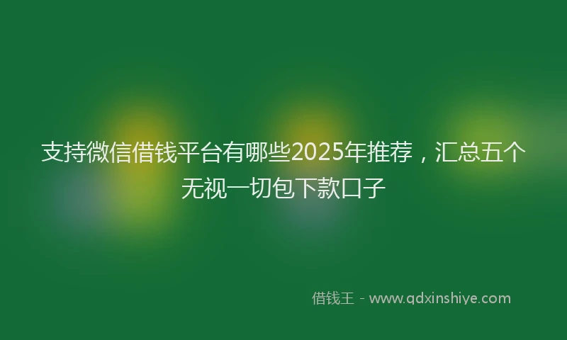 支持微信借钱平台有哪些2025年推荐，汇总五个无视一切包下款口子