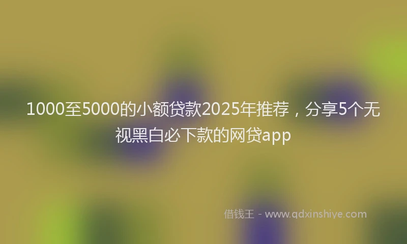 1000至5000的小额贷款2025年推荐，分享5个无视黑白必下款的网贷app