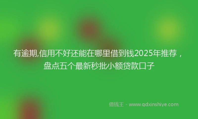 有逾期,信用不好还能在哪里借到钱2025年推荐，盘点五个最新秒批小额贷款口子