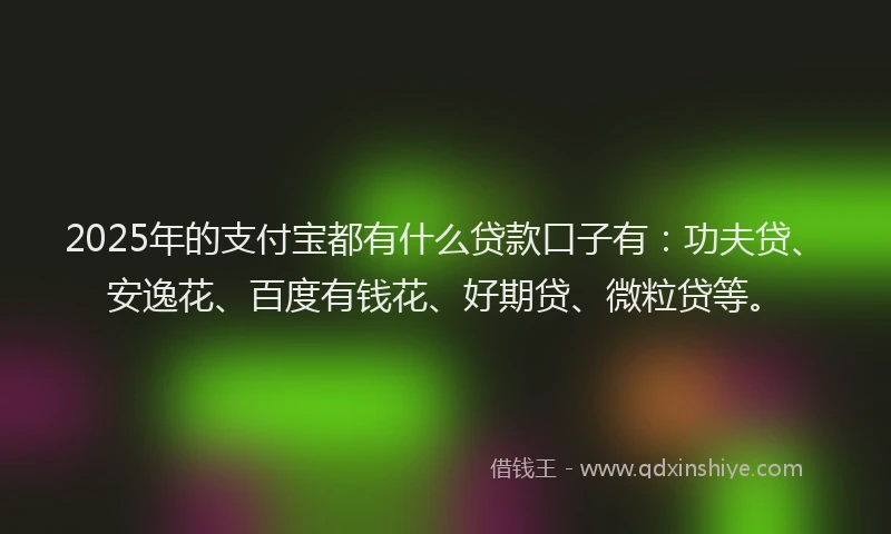 2025年的支付宝都有什么贷款口子有：功夫贷、安逸花、百度有钱花、好期贷、微粒贷等。