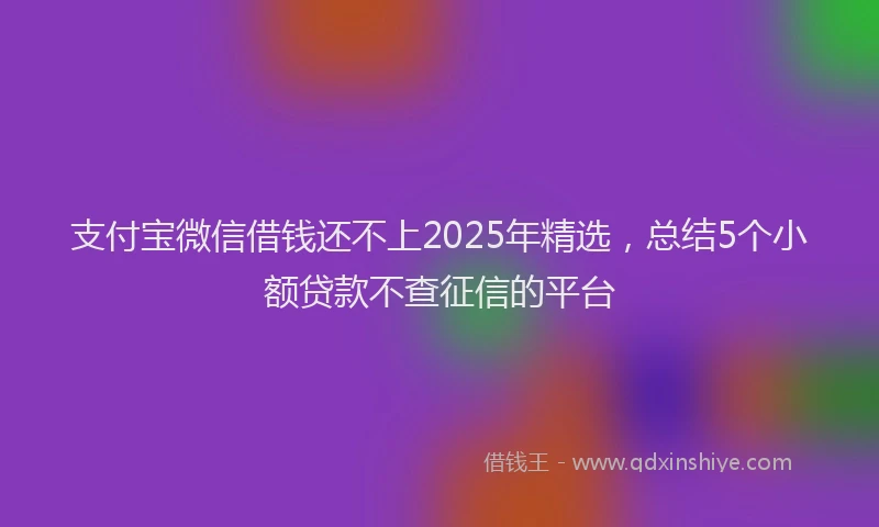 支付宝微信借钱还不上2025年精选，总结5个小额贷款不查征信的平台