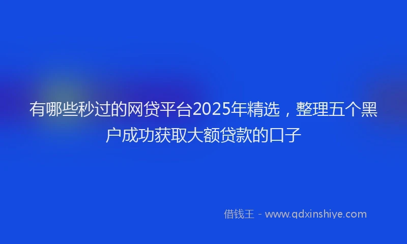 有哪些秒过的网贷平台2025年精选，整理五个黑户成功获取大额贷款的口子
