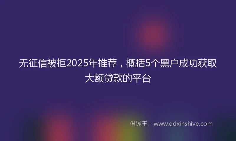 无征信被拒2025年推荐，概括5个黑户成功获取大额贷款的平台
