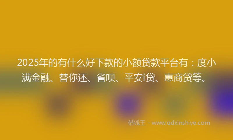 2025年的有什么好下款的小额贷款平台有：度小满金融、替你还、省呗、平安i贷、惠商贷等。