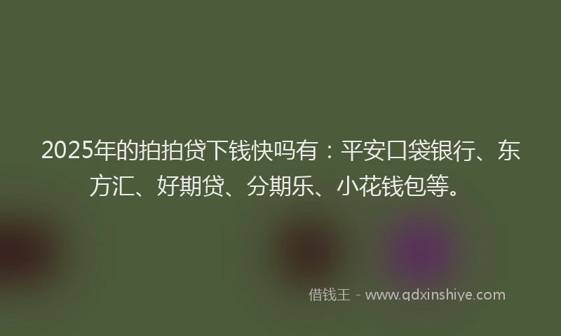 2025年的拍拍贷下钱快吗有：平安口袋银行、东方汇、好期贷、分期乐、小花钱包等。