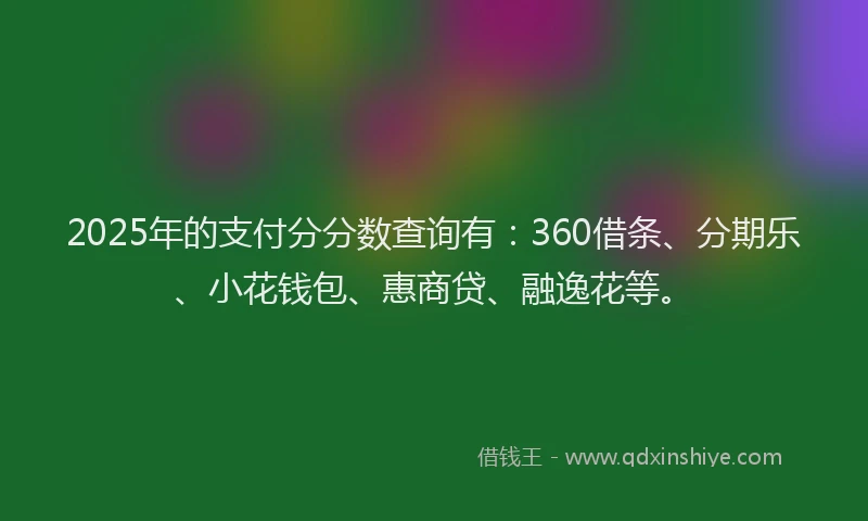 2025年的支付分分数查询有：360借条、分期乐、小花钱包、惠商贷、融逸花等。