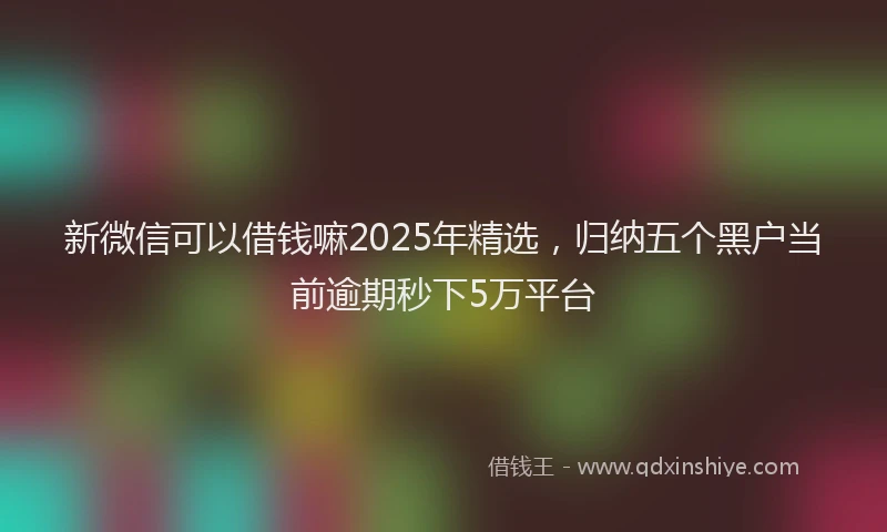 新微信可以借钱嘛2025年精选，归纳五个黑户当前逾期秒下5万平台