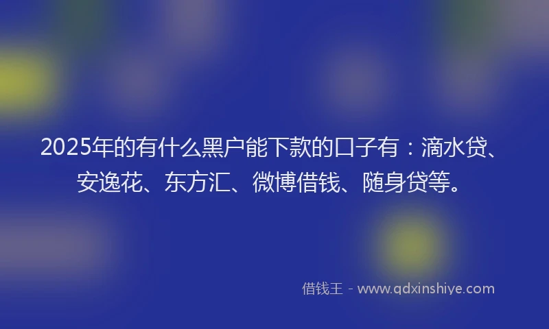 2025年的有什么黑户能下款的口子有：滴水贷、安逸花、东方汇、微博借钱、随身贷等。