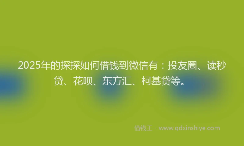 2025年的探探如何借钱到微信有：投友圈、读秒贷、花呗、东方汇、柯基贷等。