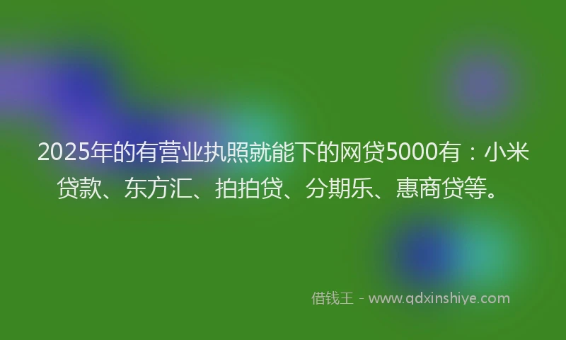 2025年的有营业执照就能下的网贷5000有：小米贷款、东方汇、拍拍贷、分期乐、惠商贷等。