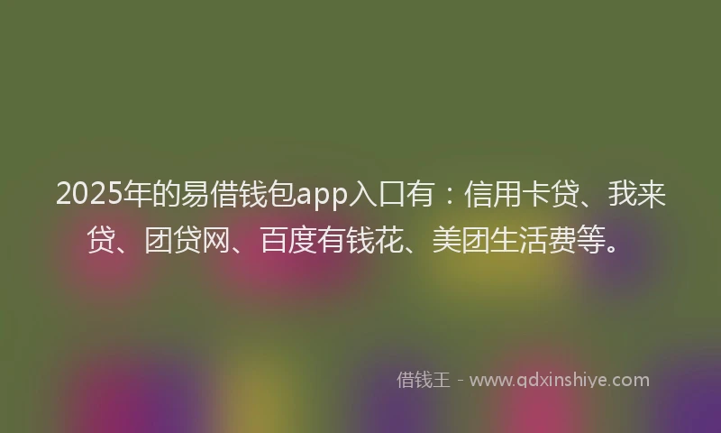 2025年的易借钱包app入口有：信用卡贷、我来贷、团贷网、百度有钱花、美团生活费等。