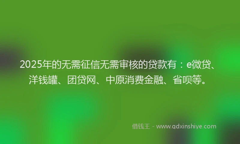 2025年的无需征信无需审核的贷款有：e微贷、洋钱罐、团贷网、中原消费金融、省呗等。