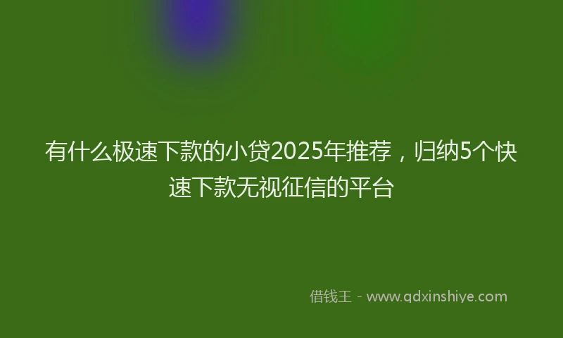 有什么极速下款的小贷2025年推荐，归纳5个快速下款无视征信的平台