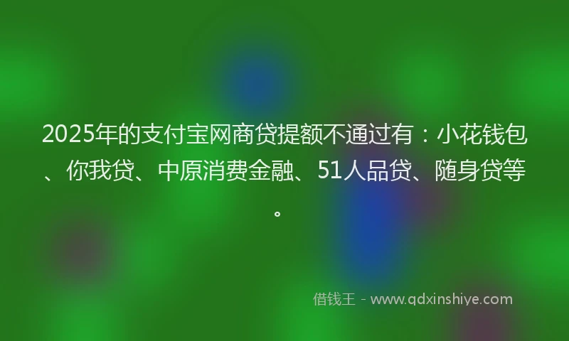 2025年的支付宝网商贷提额不通过有：小花钱包、你我贷、中原消费金融、51人品贷、随身贷等。